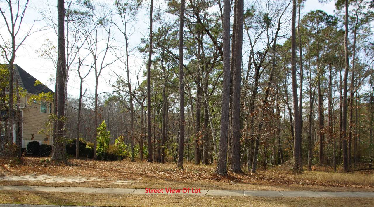 568 Chamberlin Rd. - Photo 1