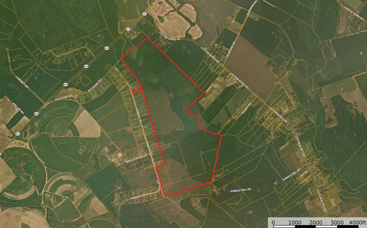 0 Cannery Rd - Photo 1