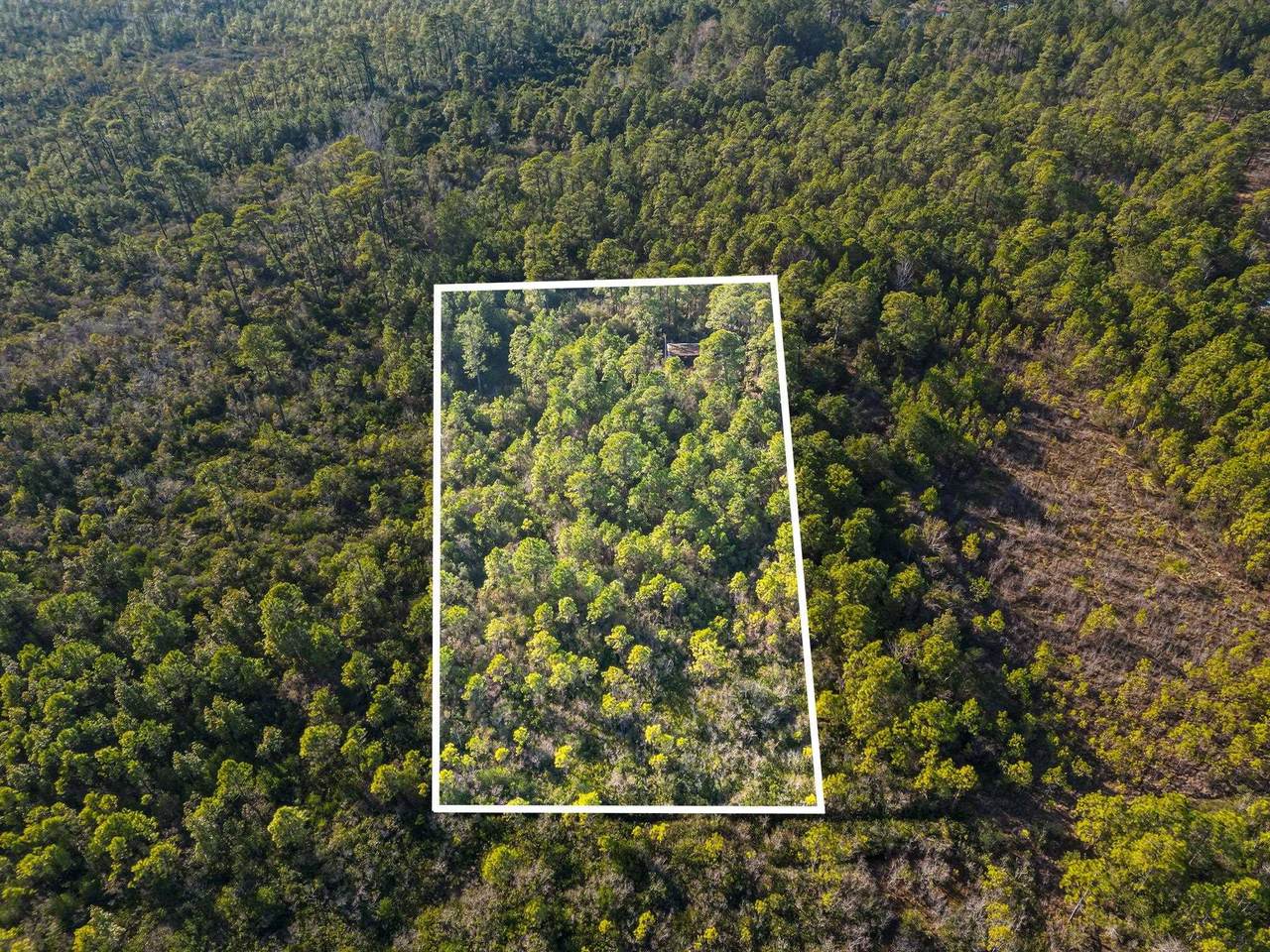 TBD Sugar Bowl Ln. - Photo 1