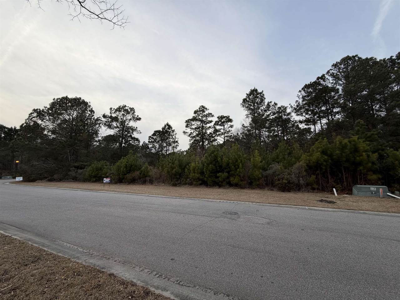 3040 New Castle Loop - Photo 1