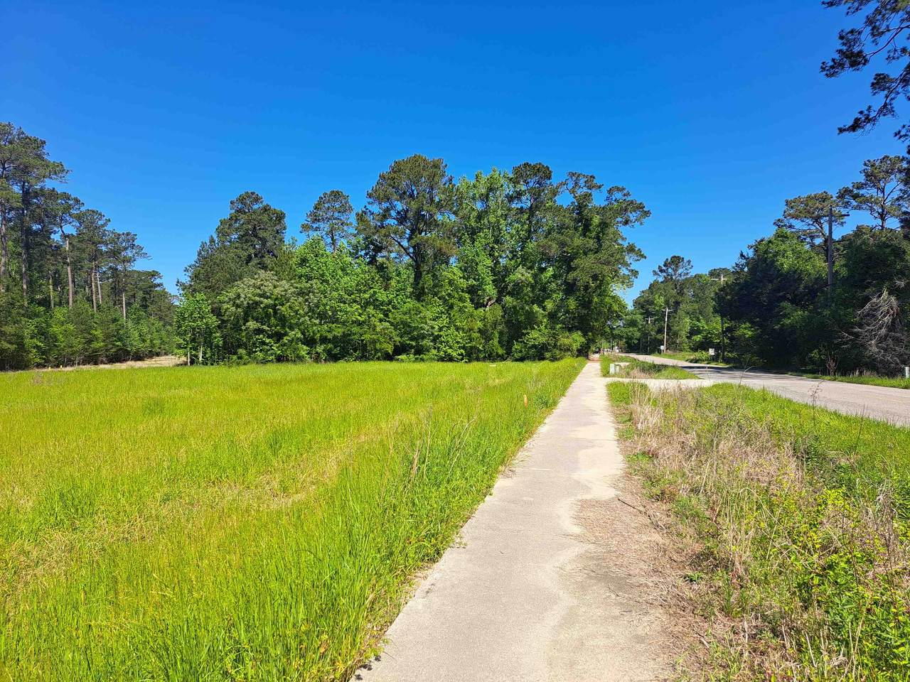 TBD Lot B Bucksport Rd. - Photo 1