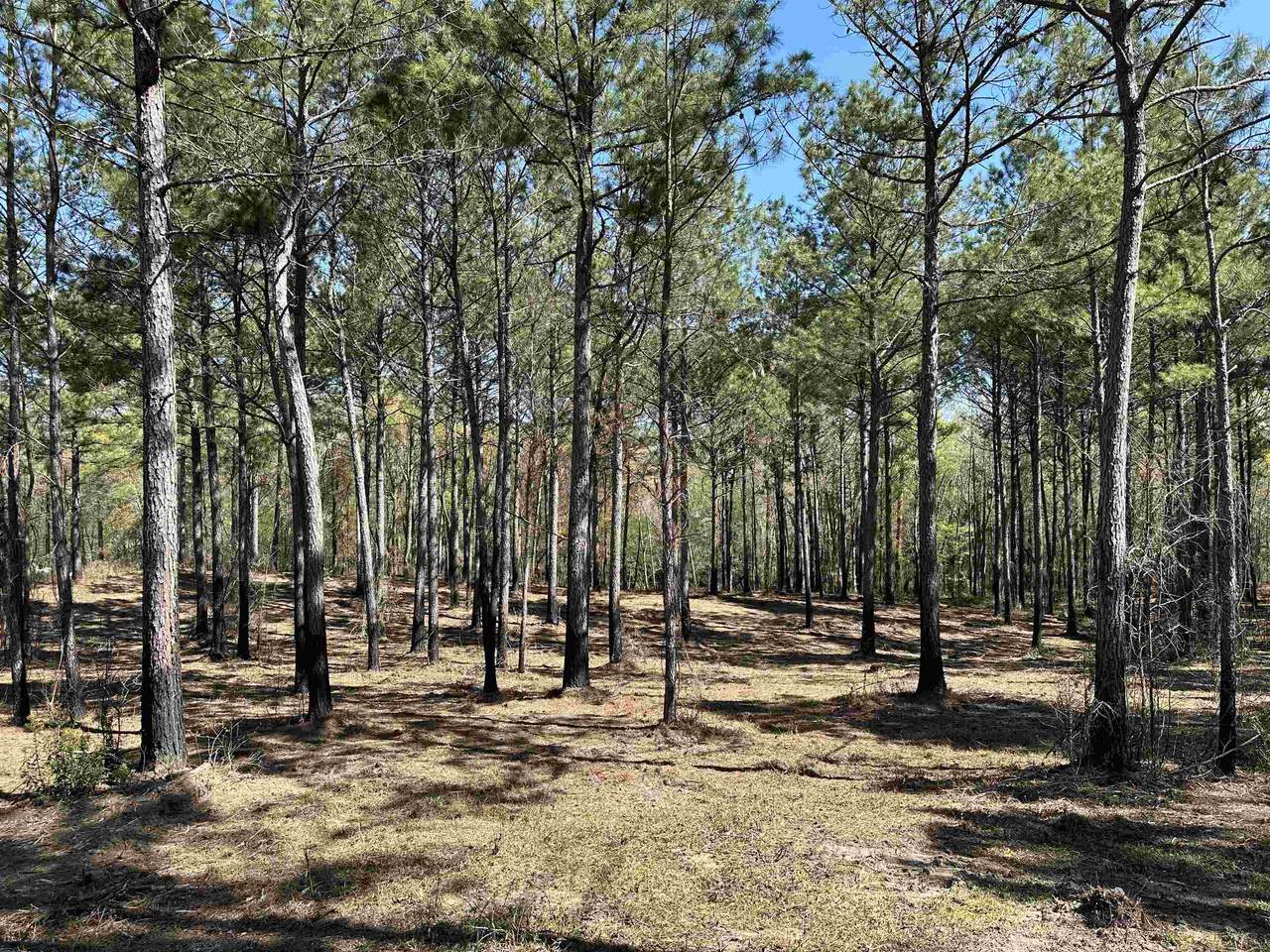 Lot 6 - TBD Old Camp Ln. - Photo 1
