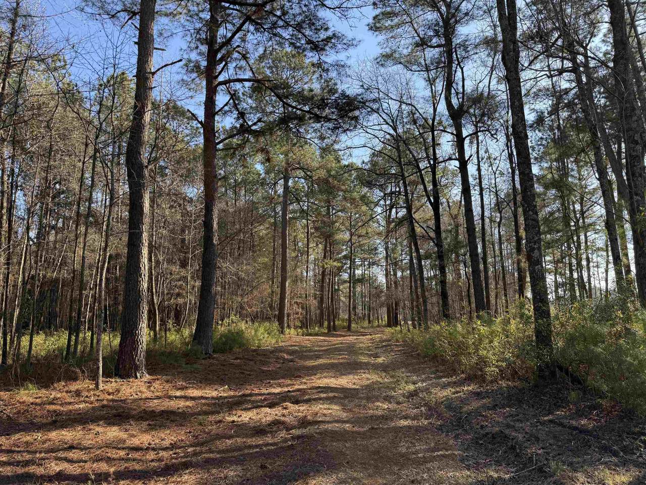 23.30 Acres-TBD Dainty Ave - Photo 1