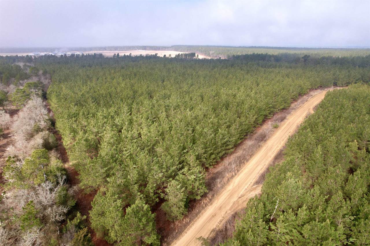 25.93Acres-4567 Dunham Rd - Photo 1