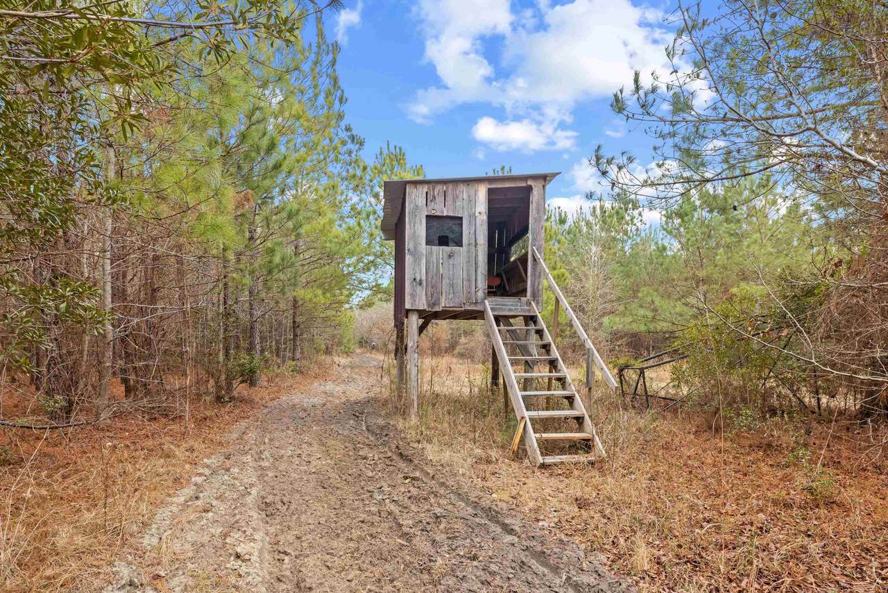 TBD 183 Acres Blakely Rd. - Photo 1