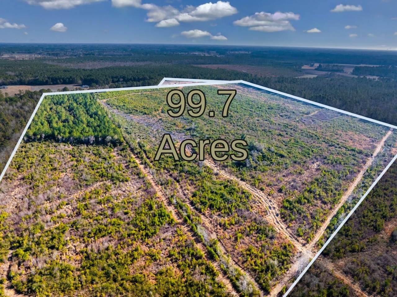 100 Acres Fifteen Mile Bay Rd. - Photo 1