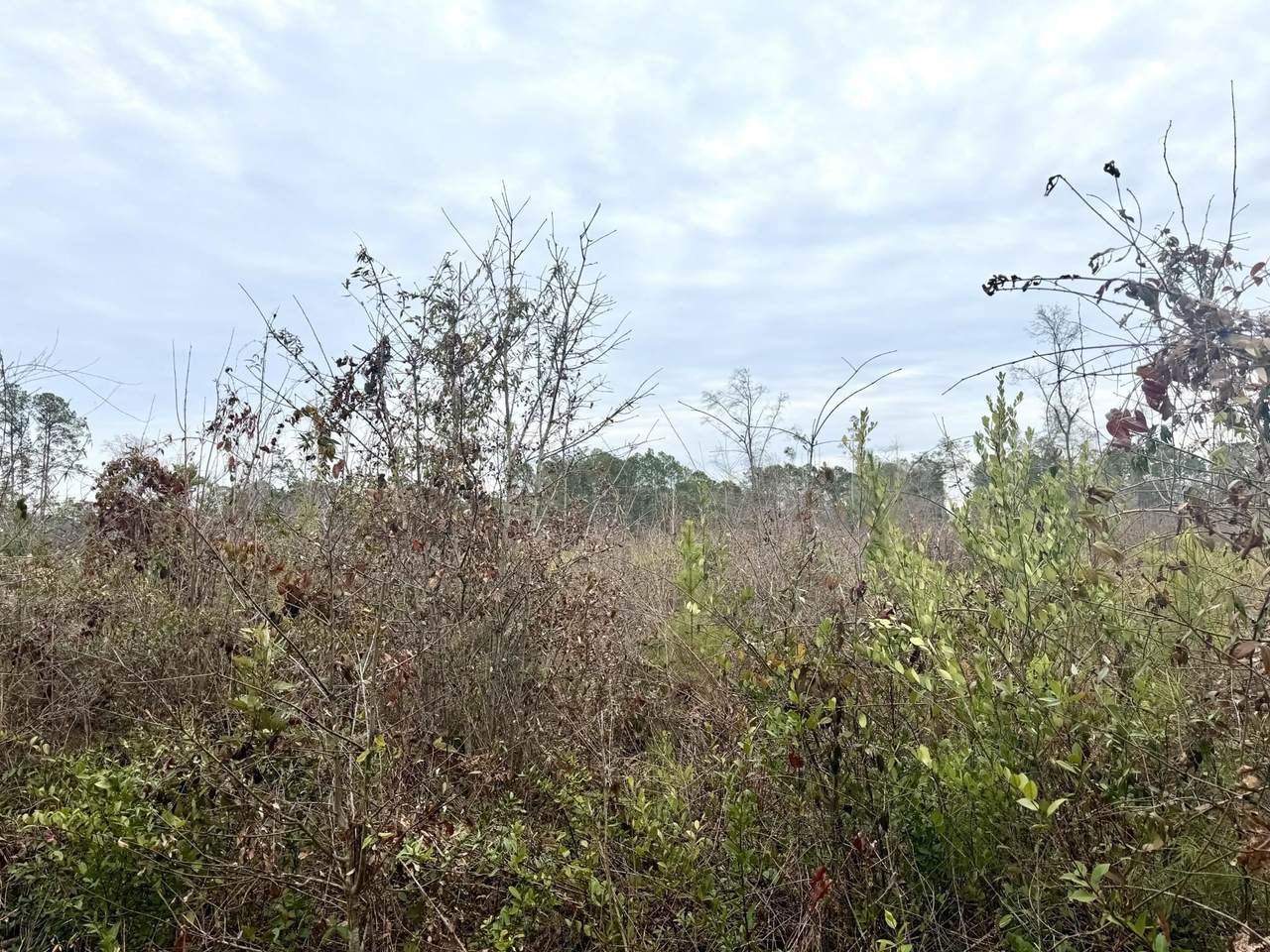 https://bt-photos.global.ssl.fastly.net/ccar/1280_boomver_1_2605002-2.jpg