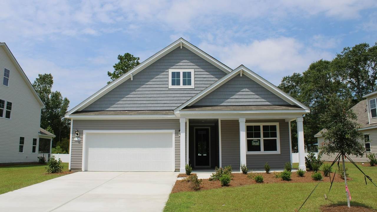 317 Hadley Springs Ave - Photo 1