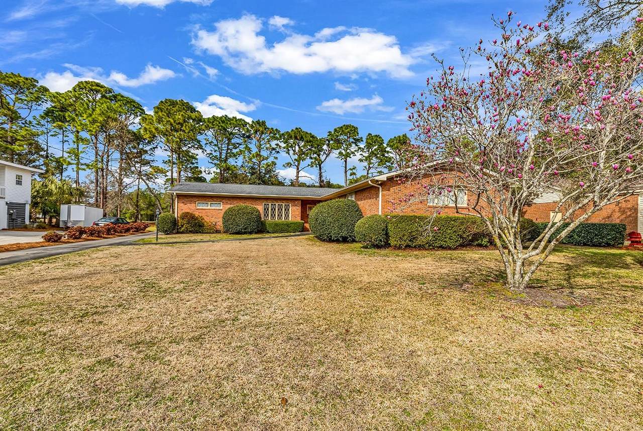 98 Forest Loop - Photo 1