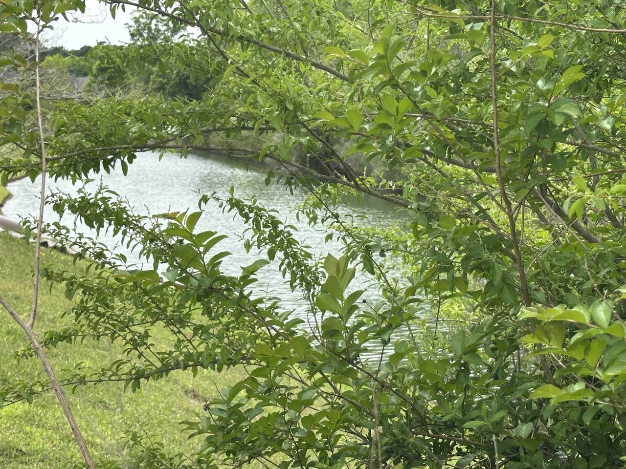 https://bt-photos.global.ssl.fastly.net/ccar/1280_boomver_1_2609173-2.jpg