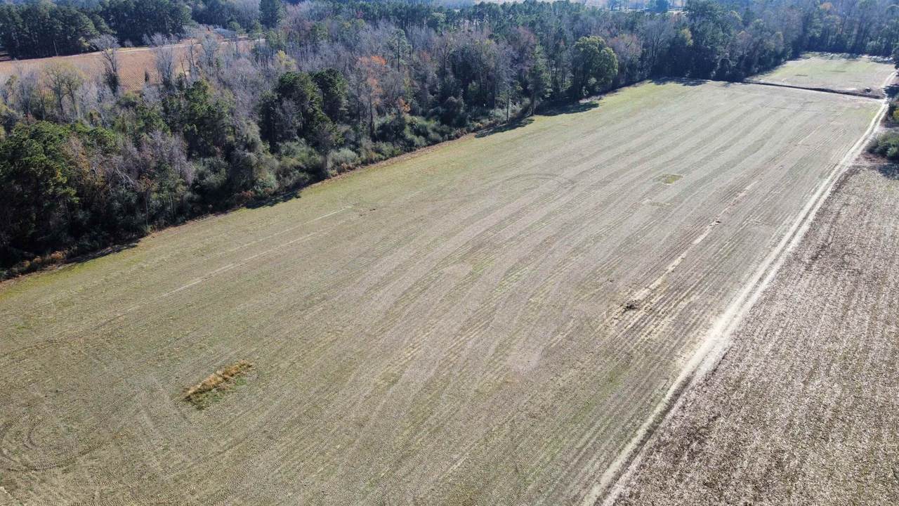 TBD Highway 917 - Photo 1