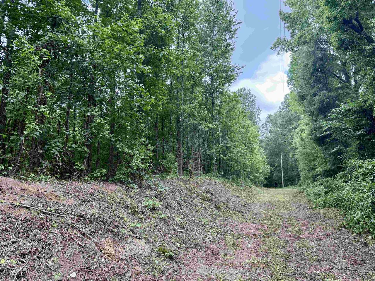 18 Acres - TBD Driffin Ln - Photo 1
