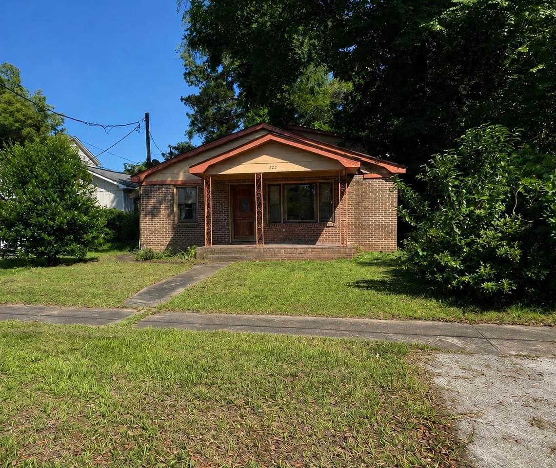 222 Cleland St. - Photo 1
