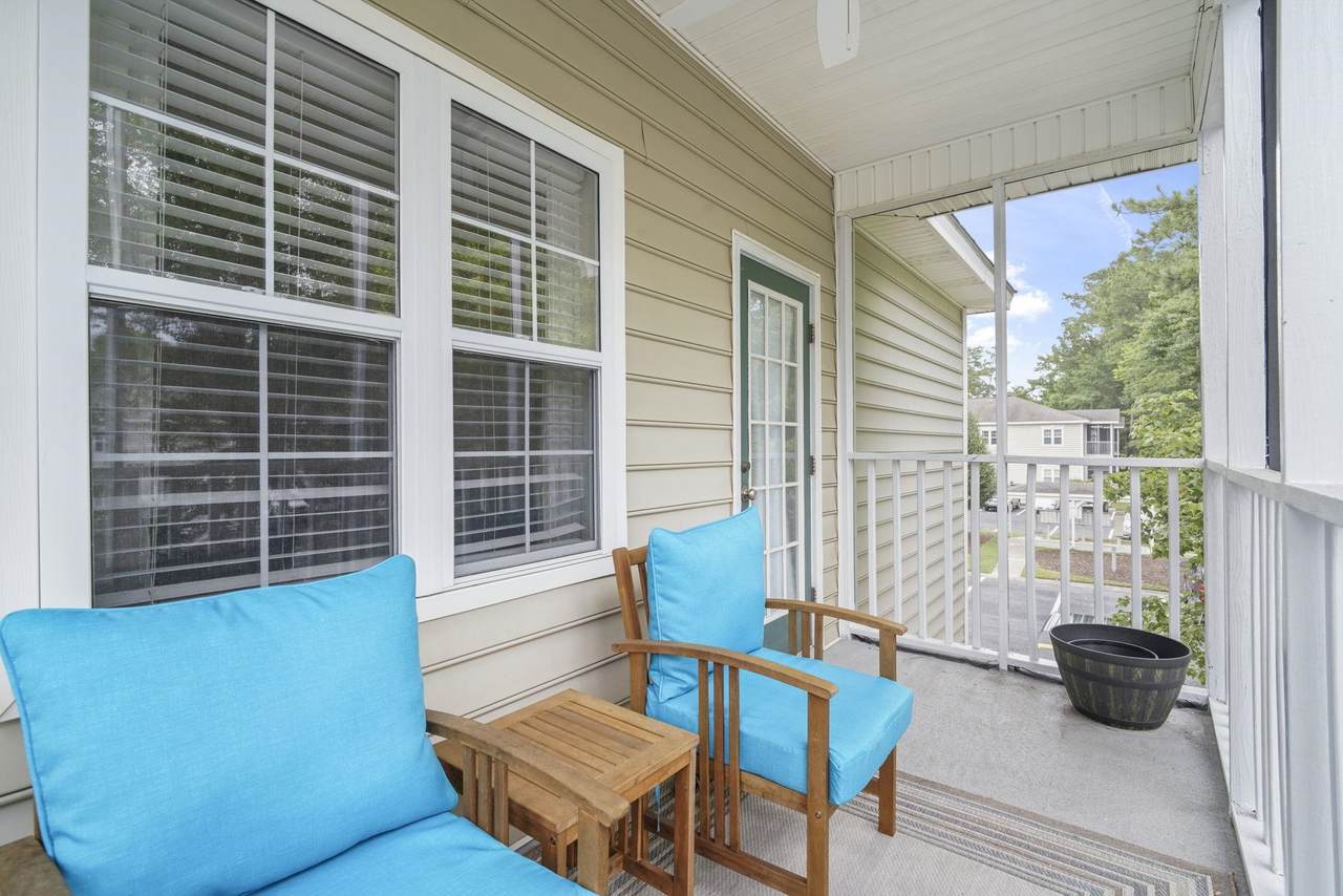 Tree-lined view from the screened porch