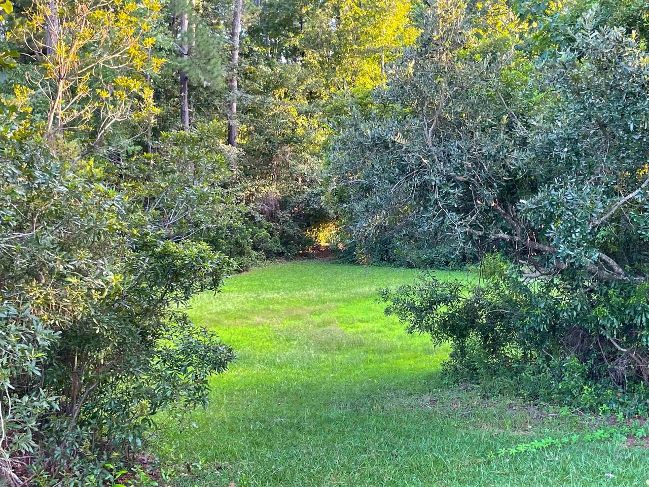 500 Spauldingwood Rd. - Photo 1