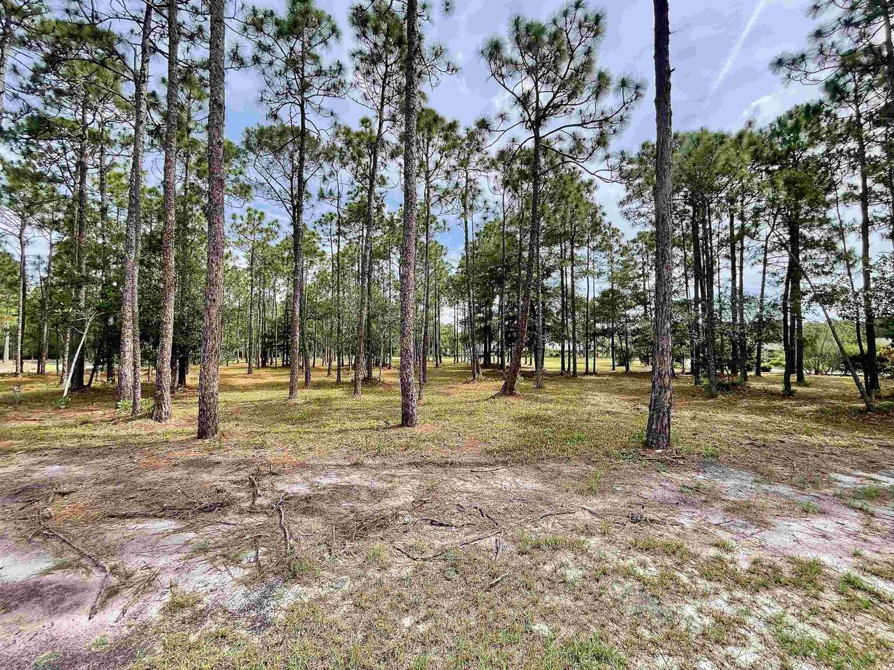 6804 Beckman Circle - Photo 1