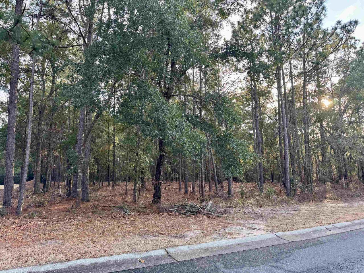 Lot 63 Preservation Circle - Photo 1