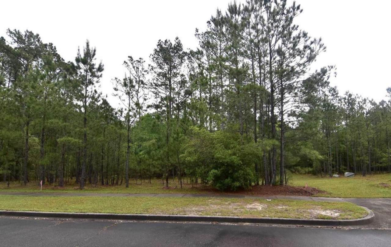 121 Pineberry Dr. - Photo 1
