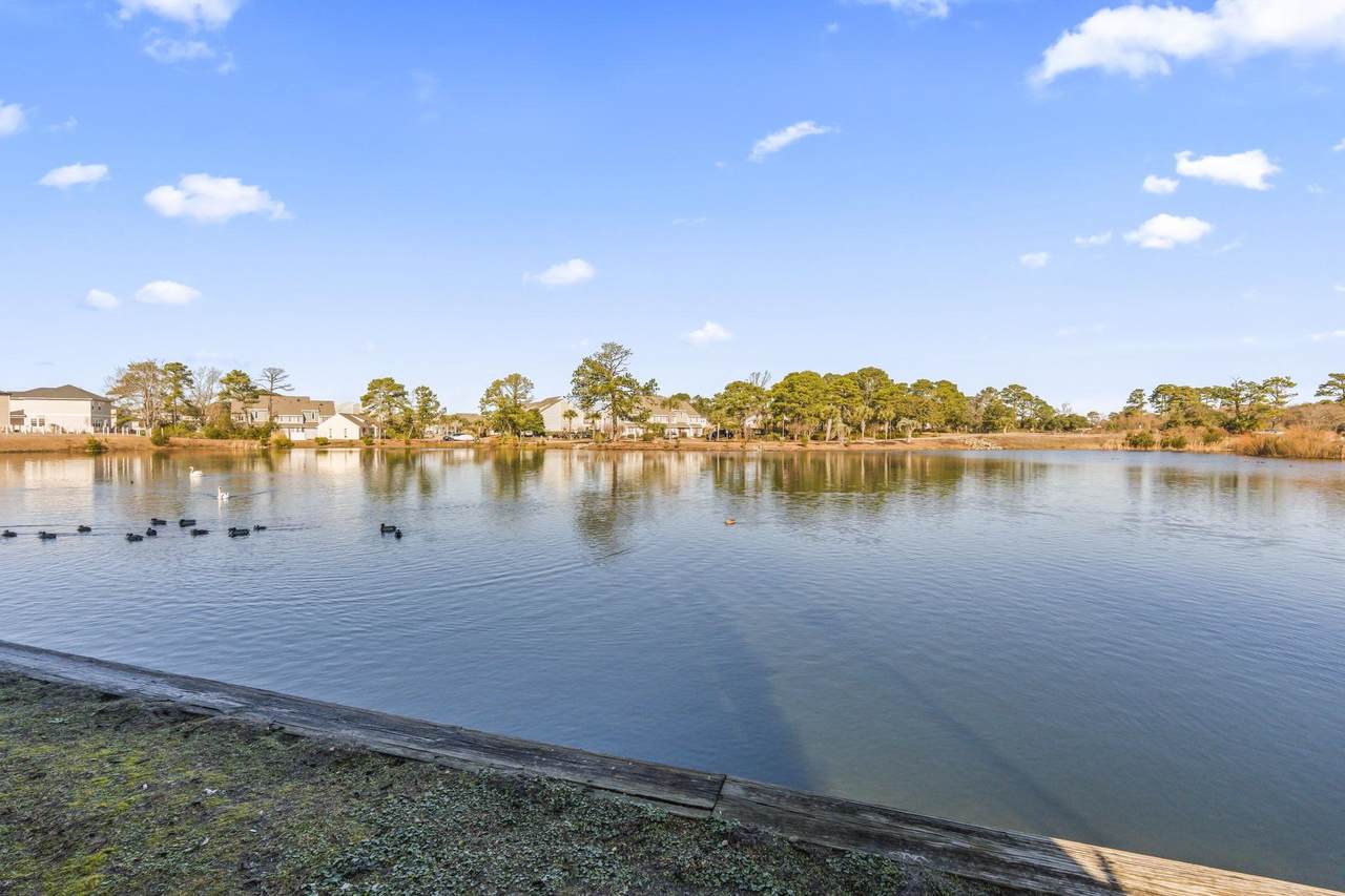 Pond view from the rear of the condominium