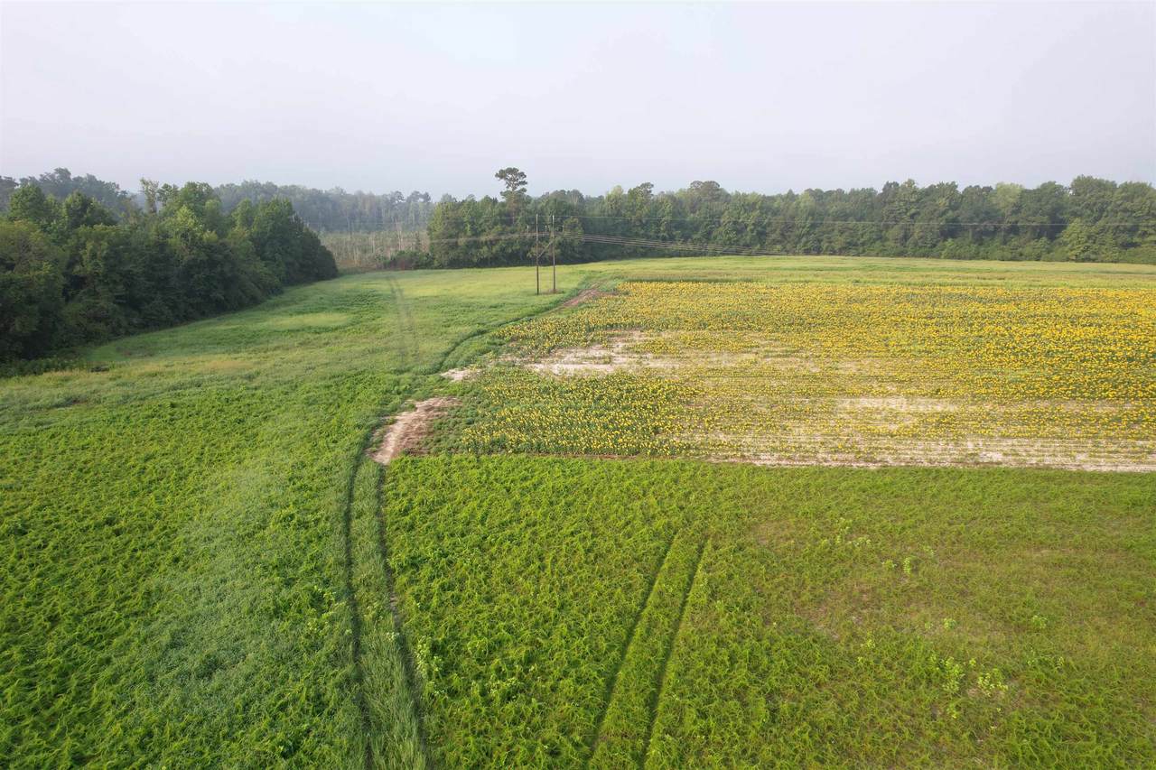 9.58 Acres - Deerfield Rd. - Photo 1