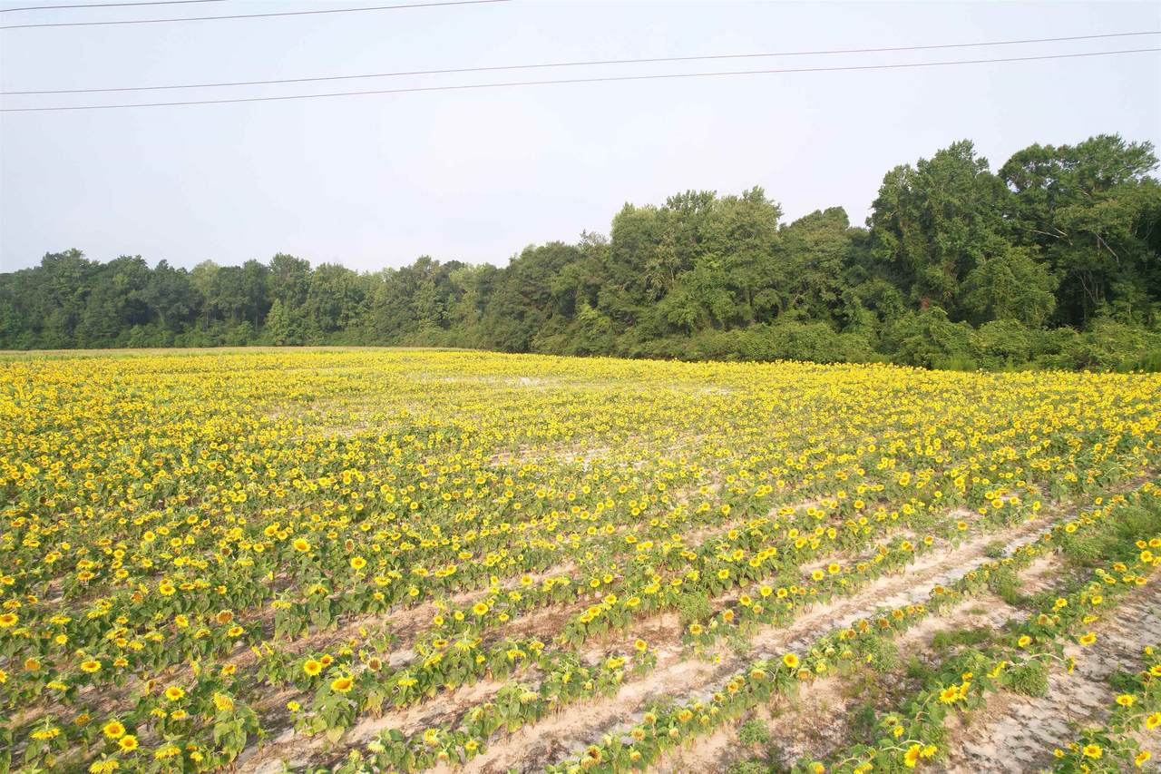 https://bt-photos.global.ssl.fastly.net/ccar/1280_boomver_1_2618769-2.jpg