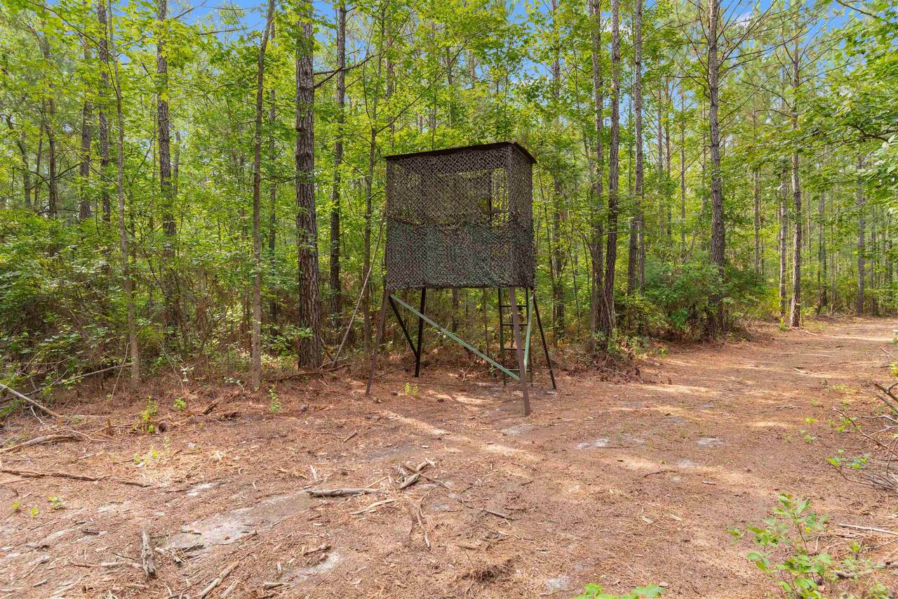 155.81 Acres - Roper Woods Rd. - Photo 1