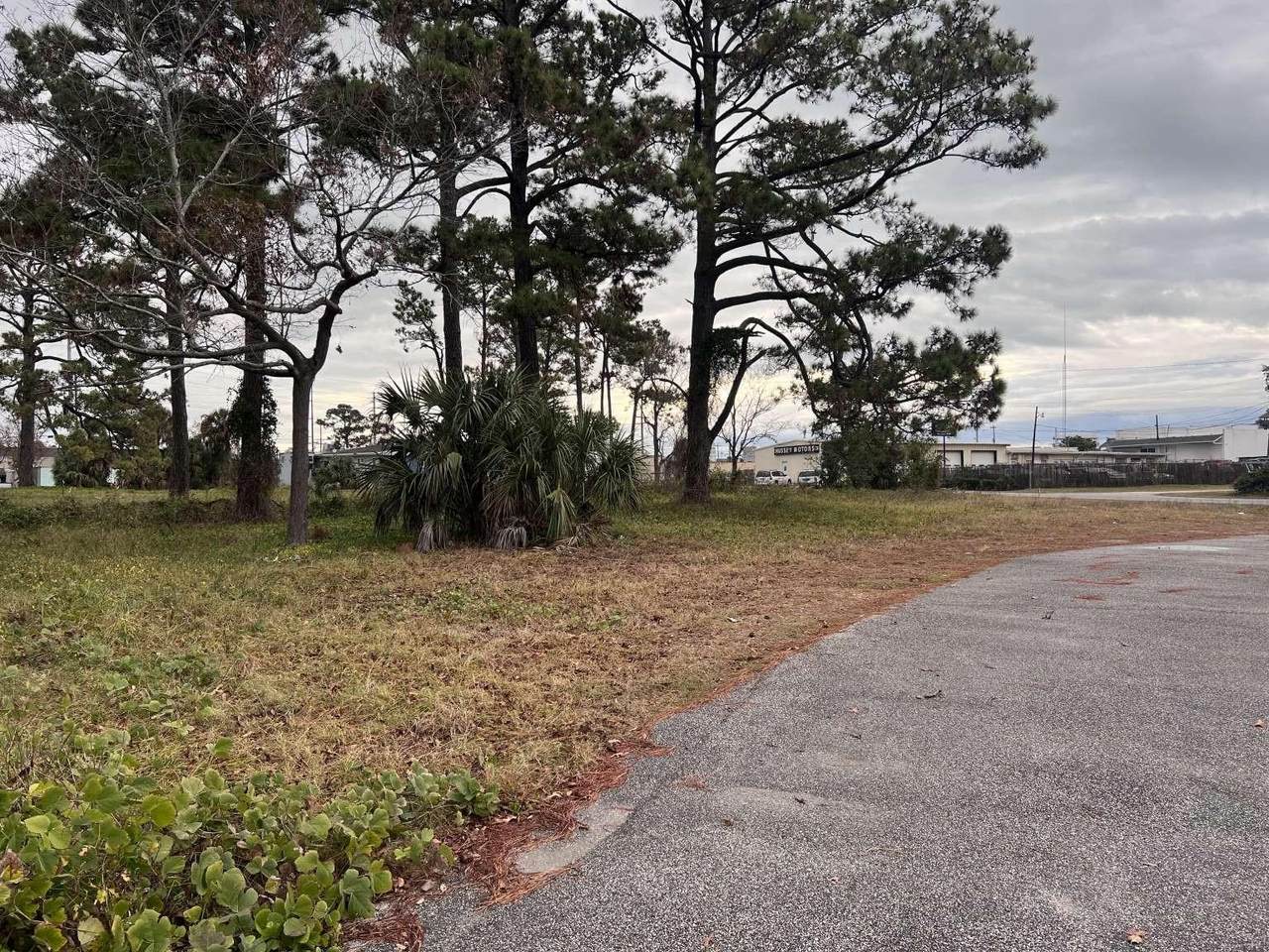 Lot 4 Alder St. - Photo 1