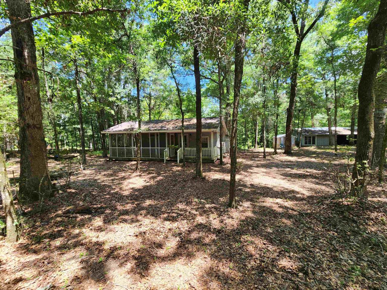 380 Bauer Trail - Photo 1