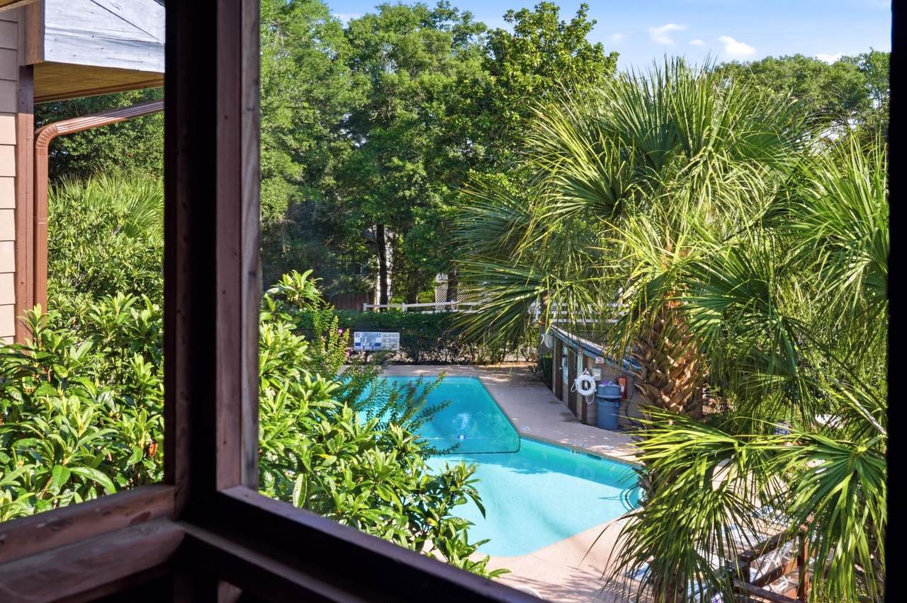 Outdoor pool visible through mature landscaping