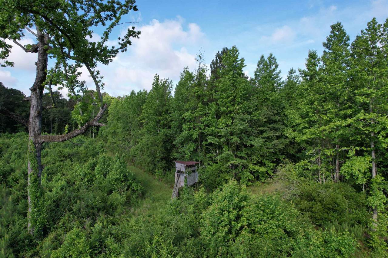 https://bt-photos.global.ssl.fastly.net/ccar/1280_boomver_1_2621511-2.jpg