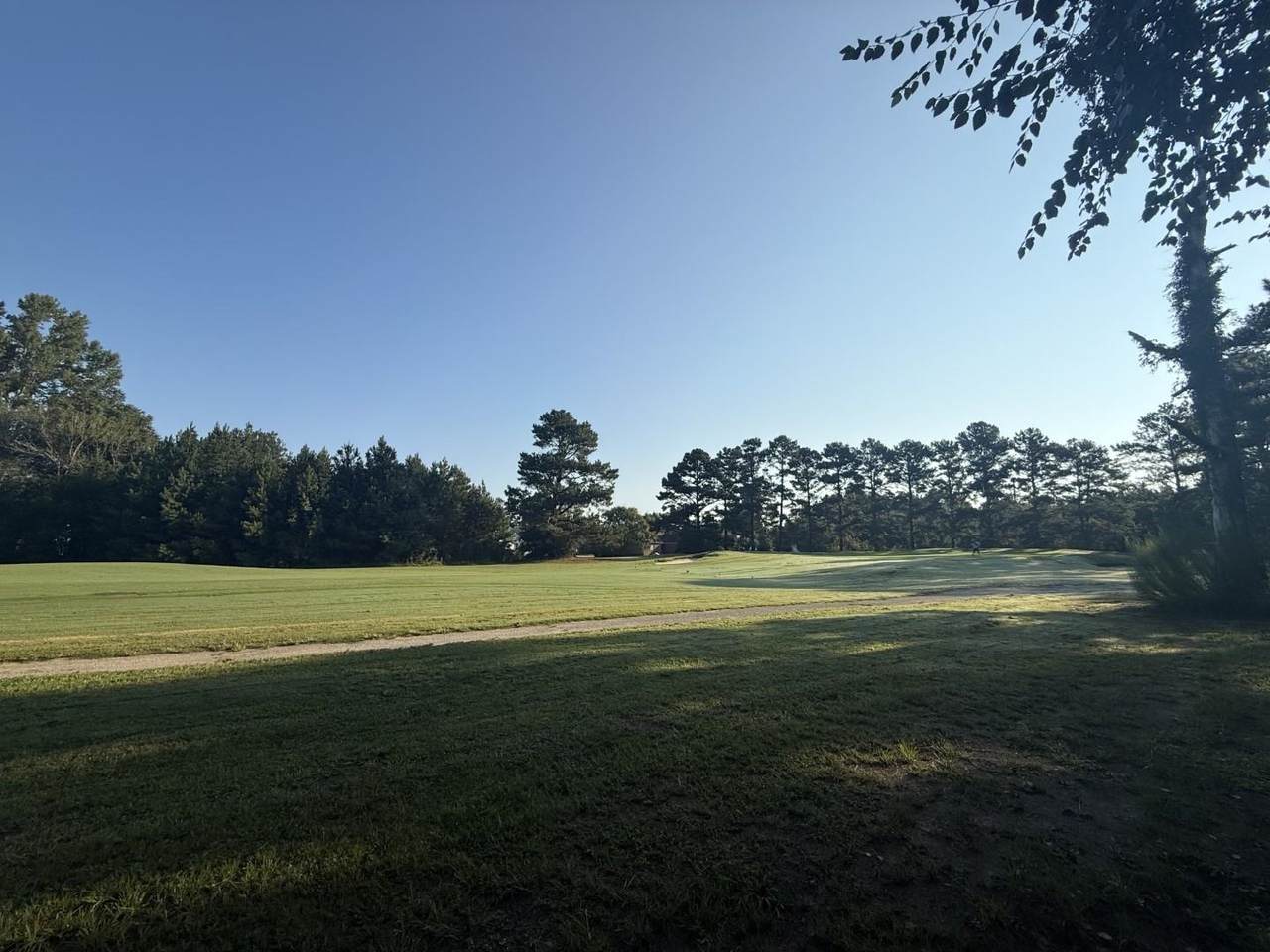 359 Cedar Grove Church Rd - Photo 1