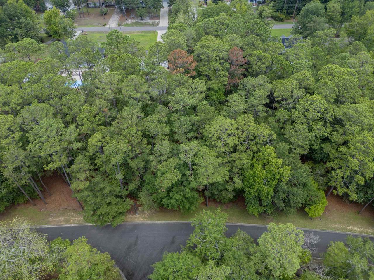 3716 Pine Brook Trail - Photo 1