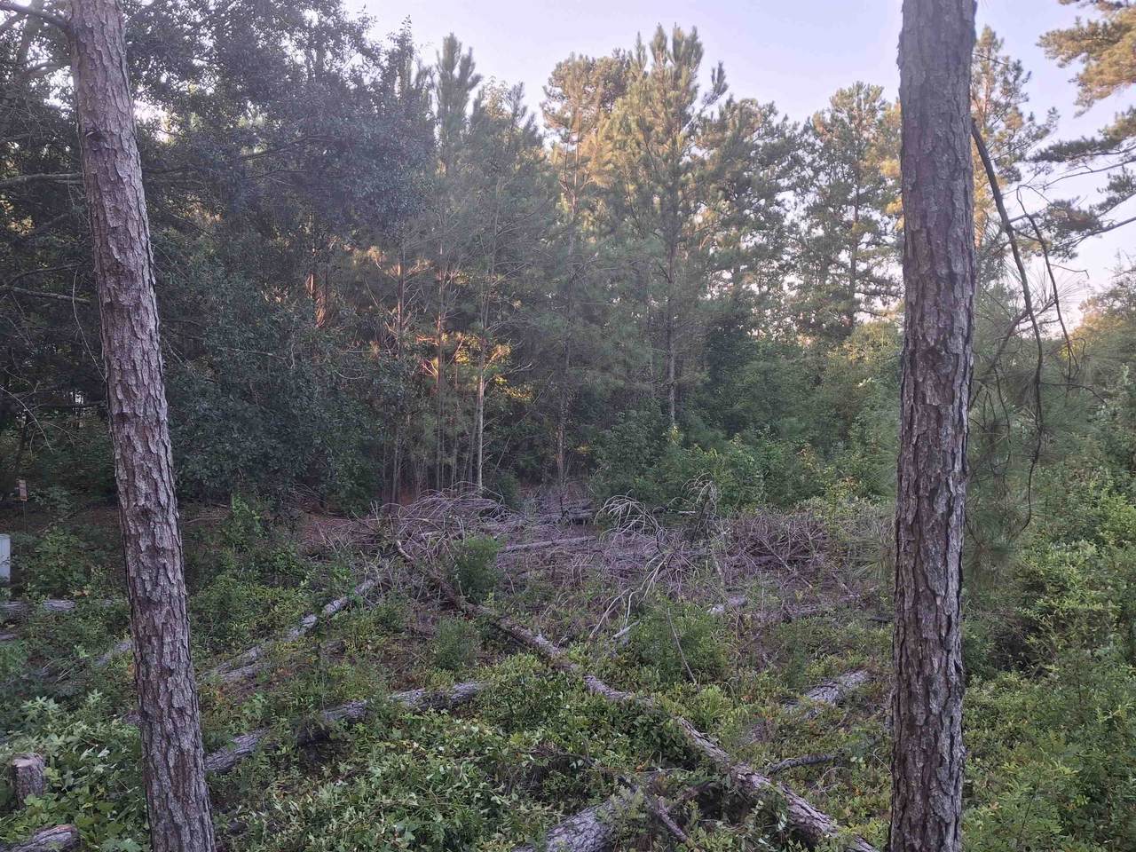Lot 12-D Mcgregor Circle - Photo 1