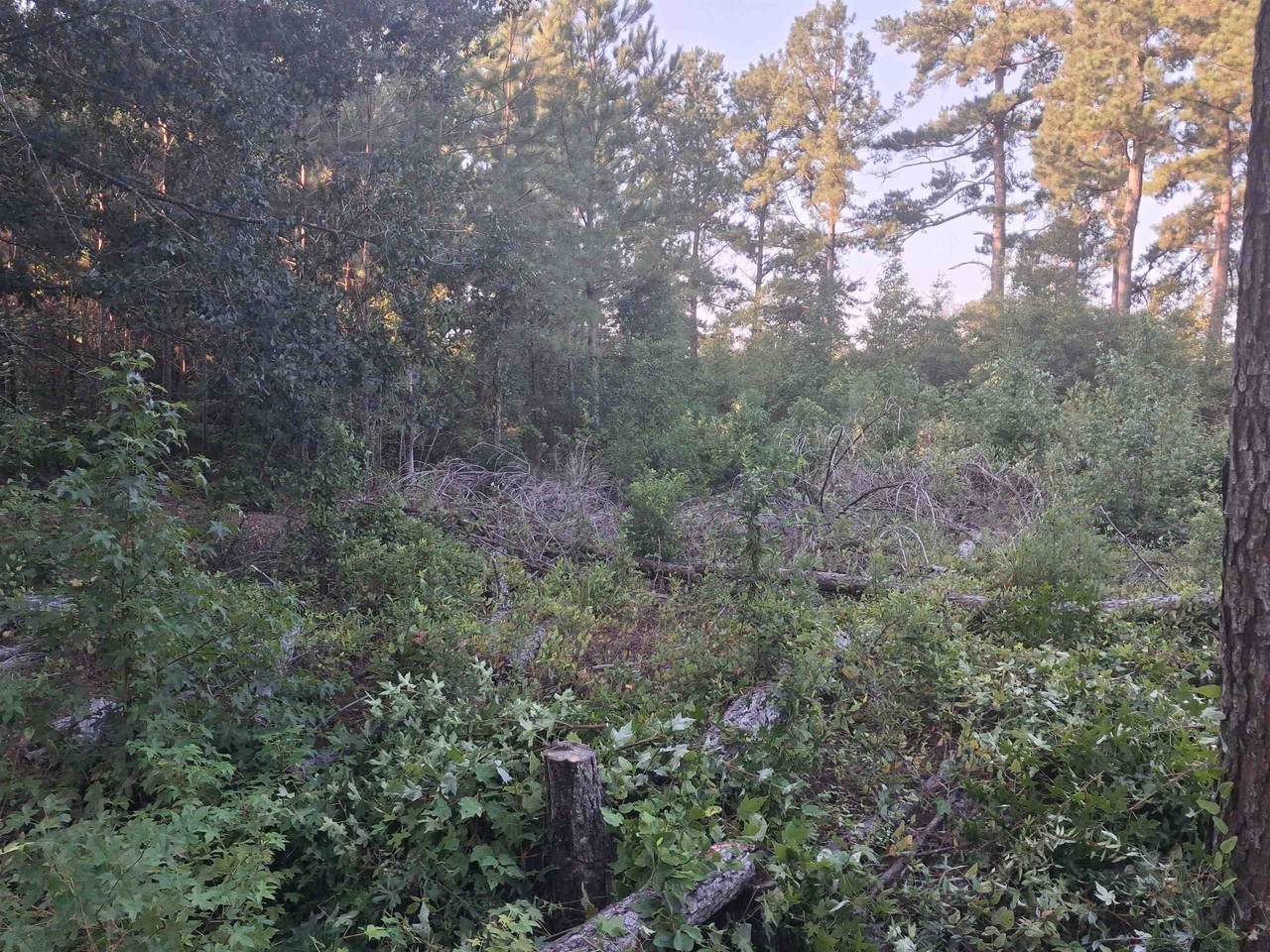 Lot 11-D Mcgregor Circle - Photo 1