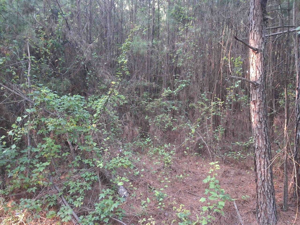 Lot 5-D Mcgregor Circle - Photo 1