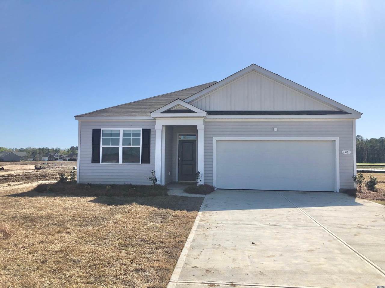 1501 Springfield Lane - Photo 1