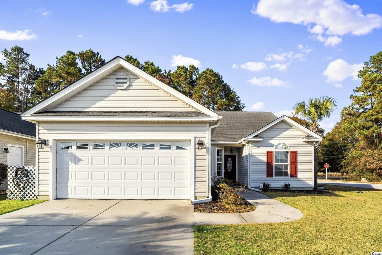 133 Sea Turtle Dr. - Photo 1