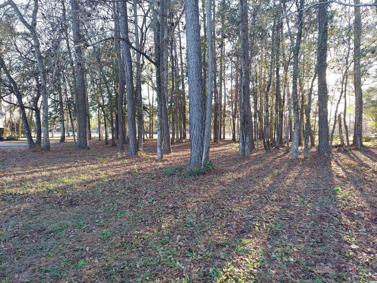 823 Bear Lake Dr. - Photo 1
