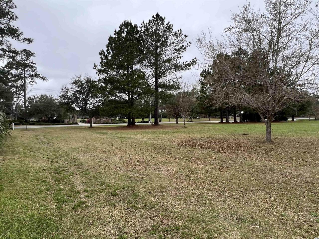 Lot 2 Woodside Trail - Photo 1