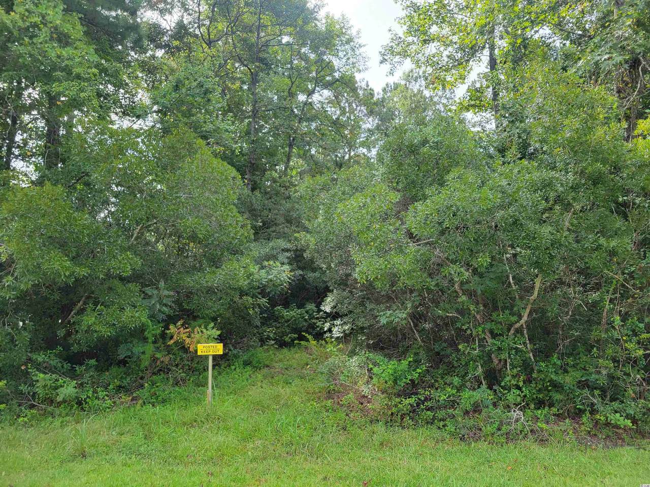 571 Caribou Trail - Photo 1