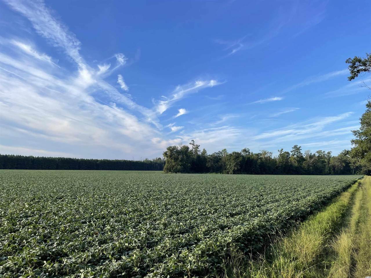 59 ac Old Georgetown Rd. - Photo 1