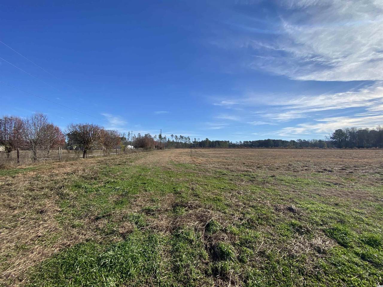 26 Acres T J Sod Ln. - Photo 1