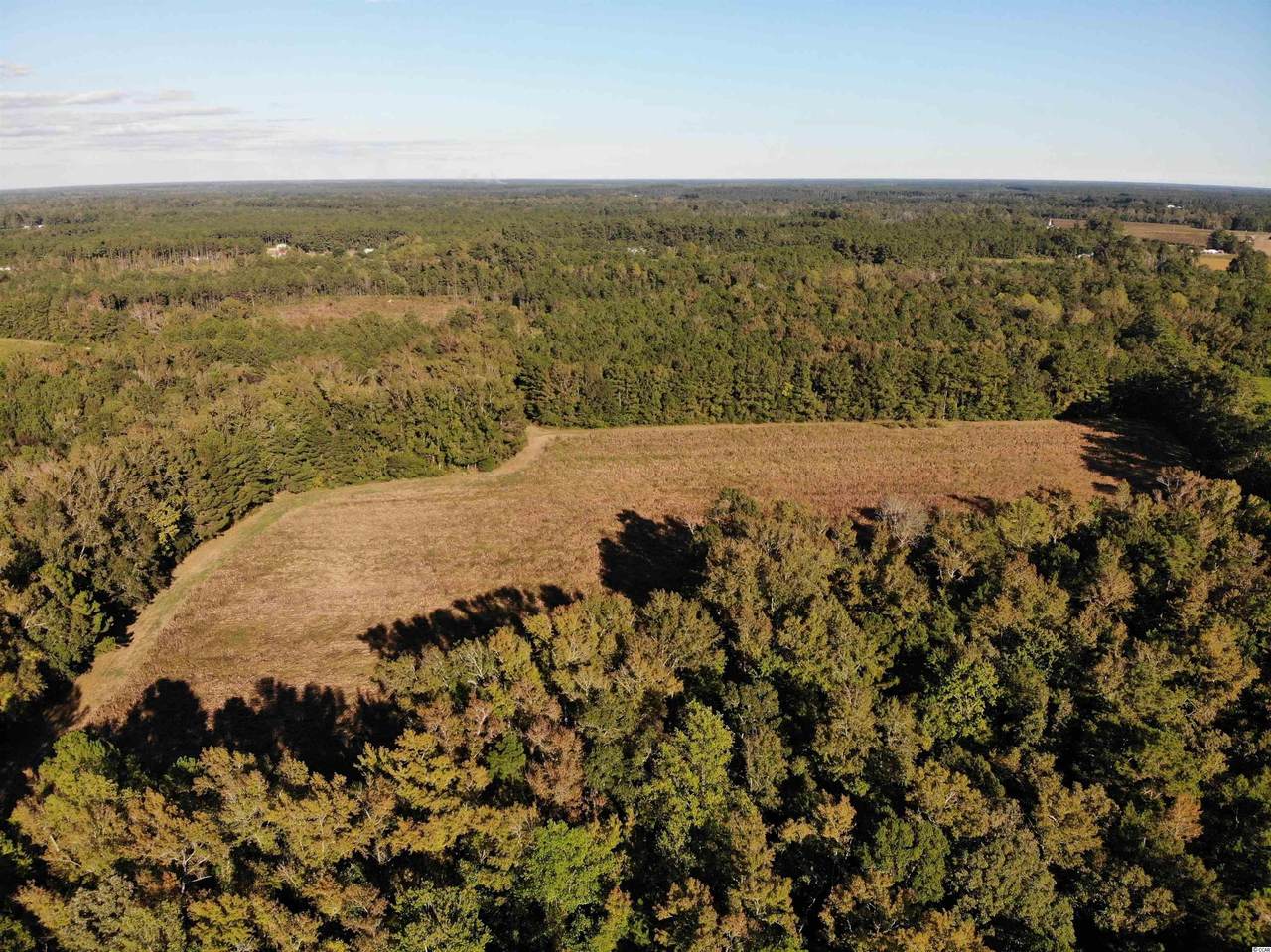 TBD Fries Bay Rd. - Photo 1