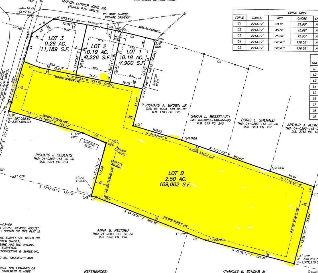 Lot B Petigru Dr. - Photo 1