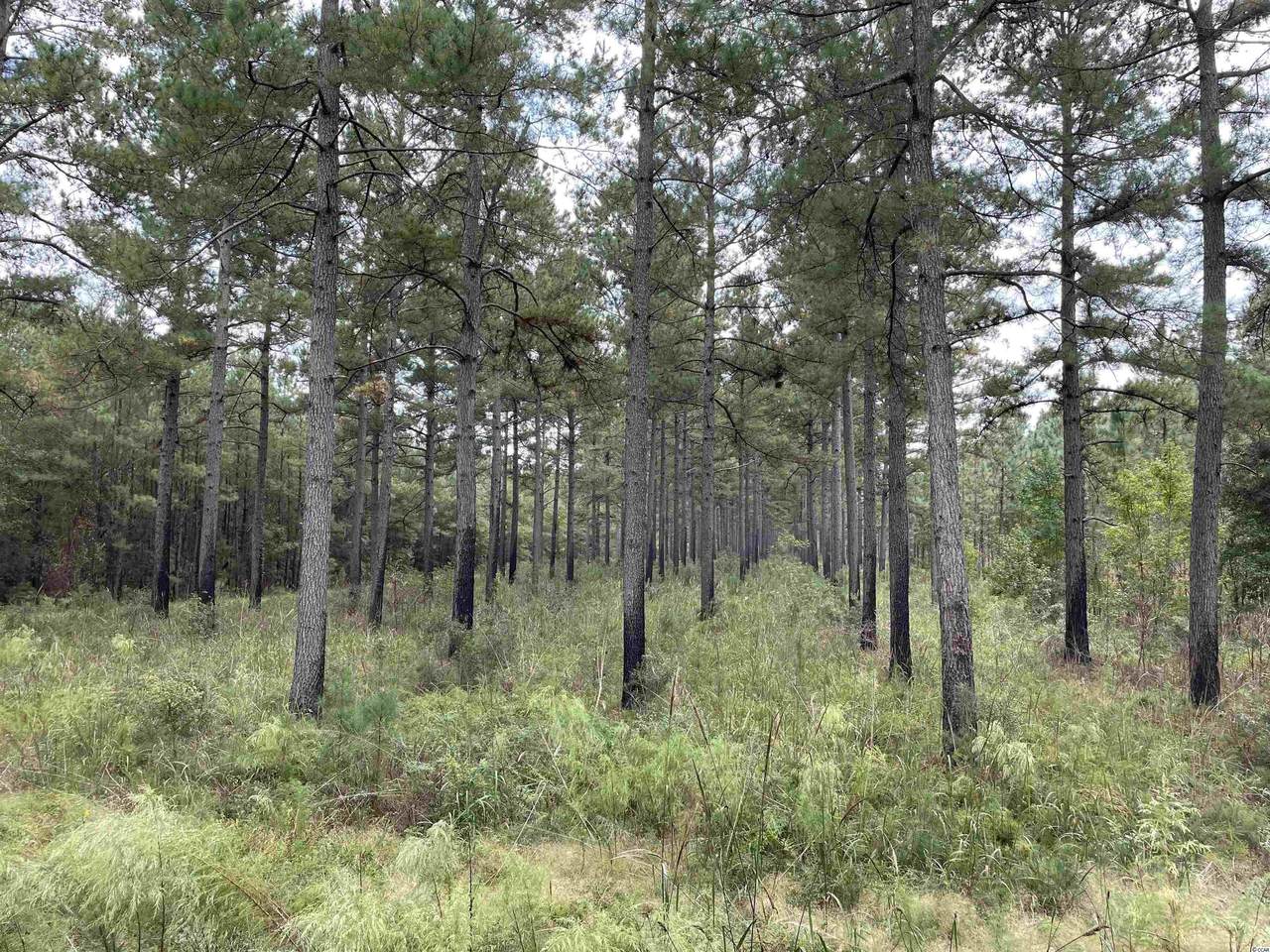 250 ac Edwin Rd. - Photo 1