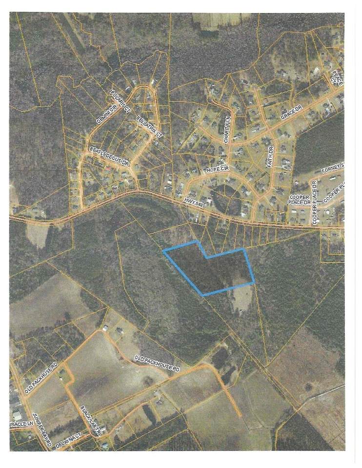 TBD 2 Highway 548 - Photo 1