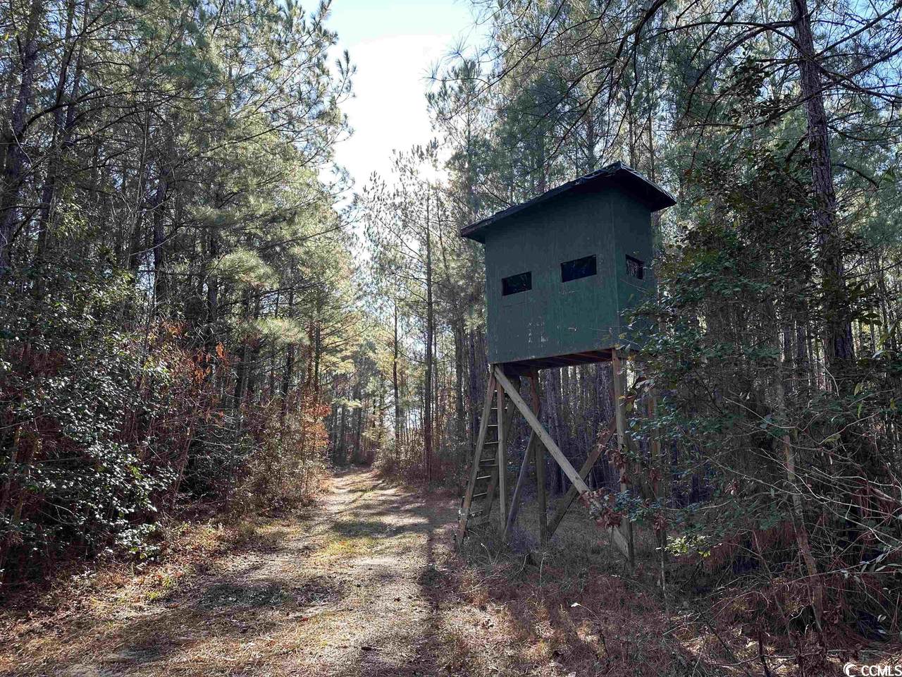 821 Lake City Hwy. - Photo 1