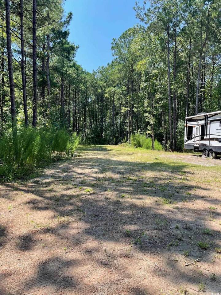 3374 Joe Brown Hwy. S - Photo 1