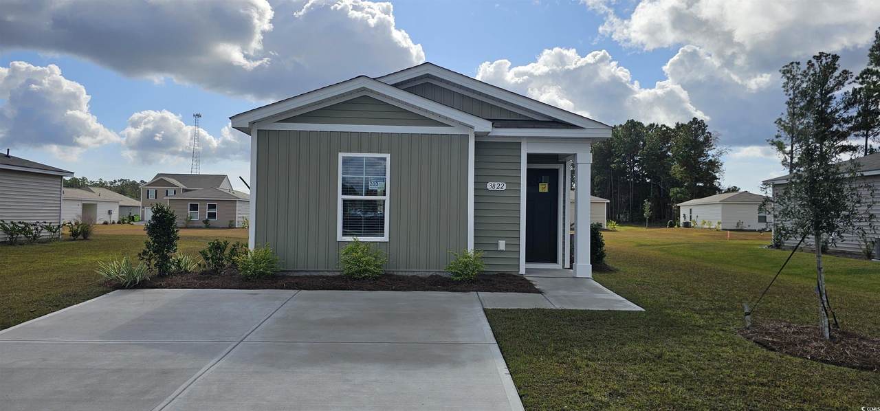3822 Lady Bug Dr. - Photo 1