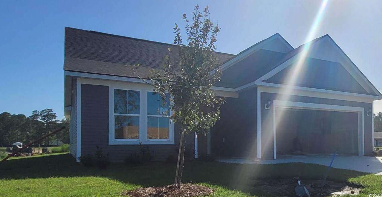 1529 Tidal Creek Way - Photo 1